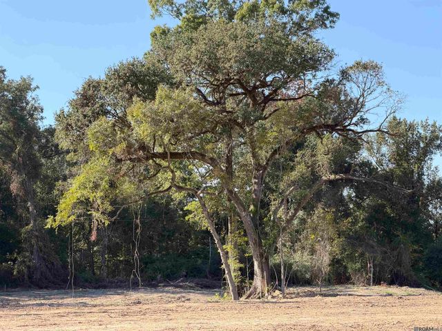 40 N Stately Oaks Dr, Saint George, LA 70810