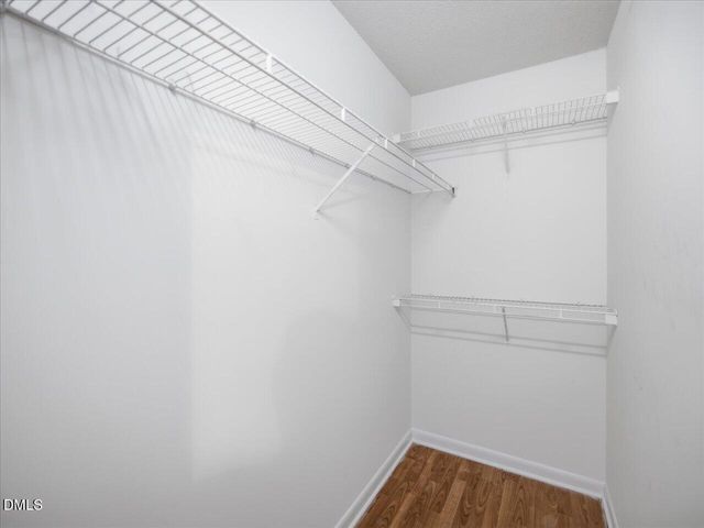 1231 University Court 304, Raleigh, NC 27606