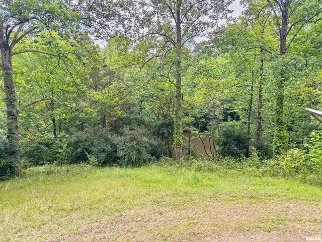 5660 Lingle Creek Road, Jonesboro, IL 62952