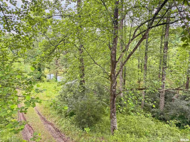 5660 Lingle Creek Road, Jonesboro, IL 62952