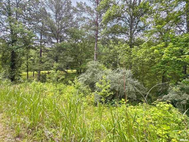 5660 Lingle Creek Road, Jonesboro, IL 62952