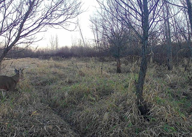COUNTY ROAD N, Argyle, WI 53504