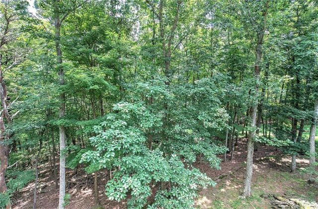 376 Alpine Drive, Jasper, GA 30143
