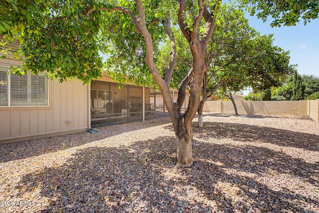 26417 S TRURO Drive, Sun Lakes, AZ 85248