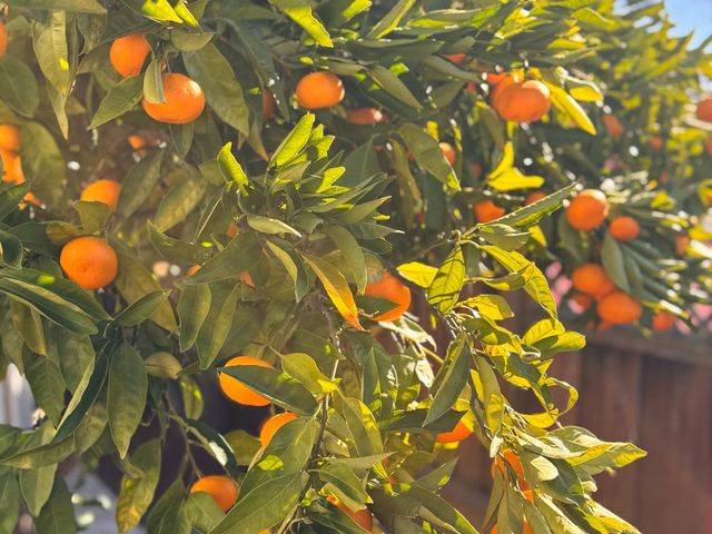 24927 2nd Street, Hayward, CA 94541