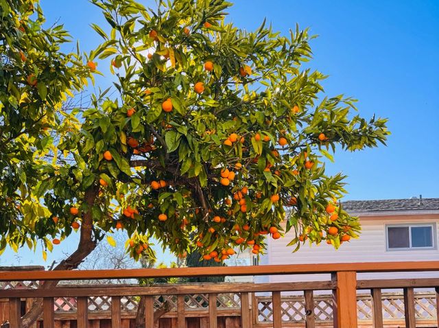 24927 2nd Street, Hayward, CA 94541