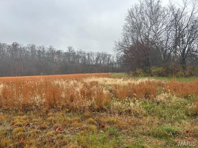 113 Bridlespur Court, Hawk Point, MO 63349