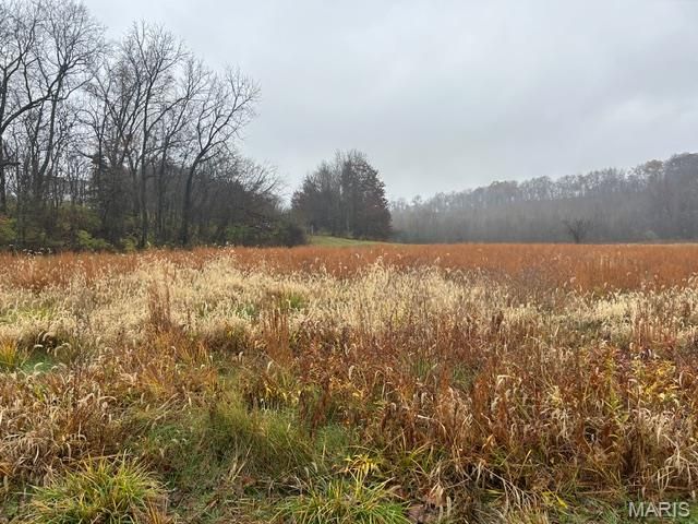 113 Bridlespur Court, Hawk Point, MO 63349