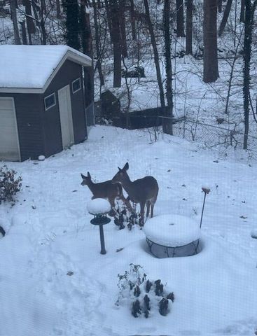 1154 Springwood Drive SE, Grand Rapids, MI 49508