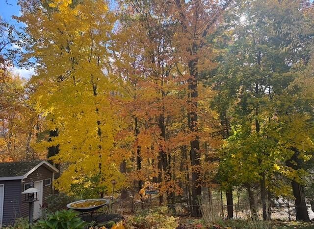 1154 Springwood Drive SE, Grand Rapids, MI 49508