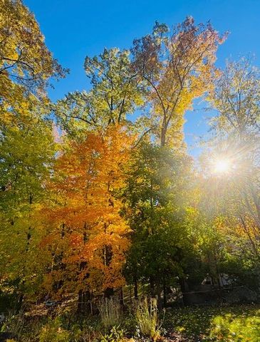 1154 Springwood Drive SE, Grand Rapids, MI 49508