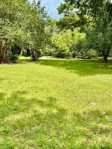 231 PR 5085, Grapeland, TX 75844
