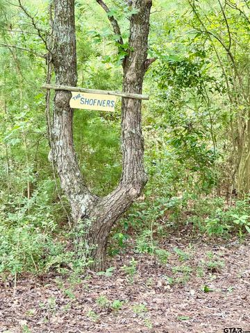 231 PR 5085, Grapeland, TX 75844
