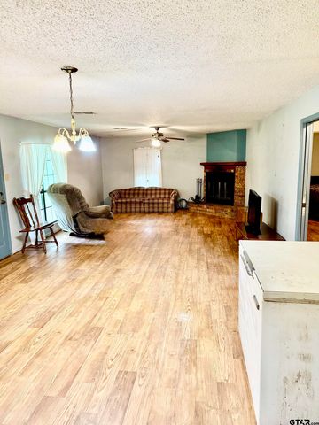 231 PR 5085, Grapeland, TX 75844
