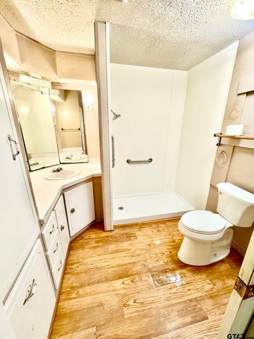 231 PR 5085, Grapeland, TX 75844