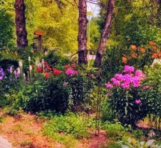 2945 County Road 4 SW 415, Cokato, MN 55321