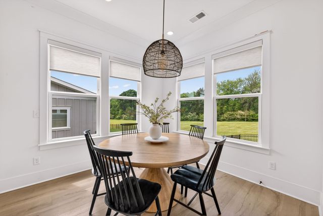 3029 Lilybelle Ct, Arrington, TN 37014