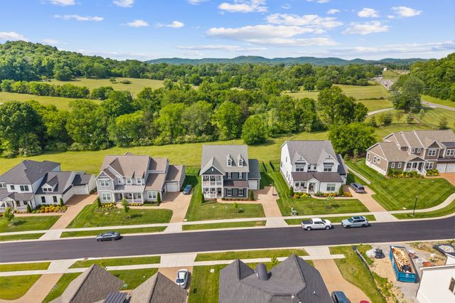3029 Lilybelle Ct, Arrington, TN 37014