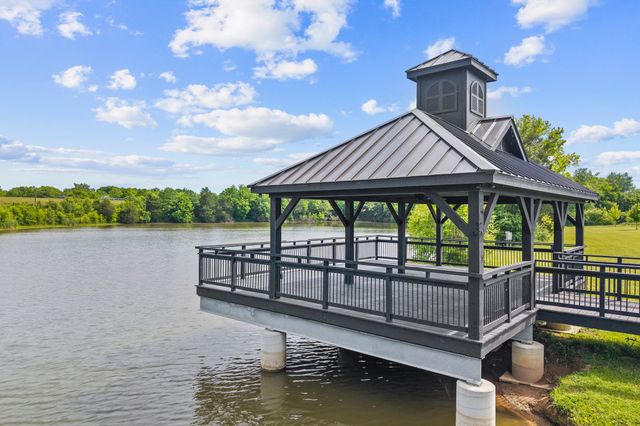 3029 Lilybelle Ct, Arrington, TN 37014