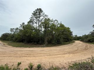 111 BRASS STREET, Interlachen, FL 32148