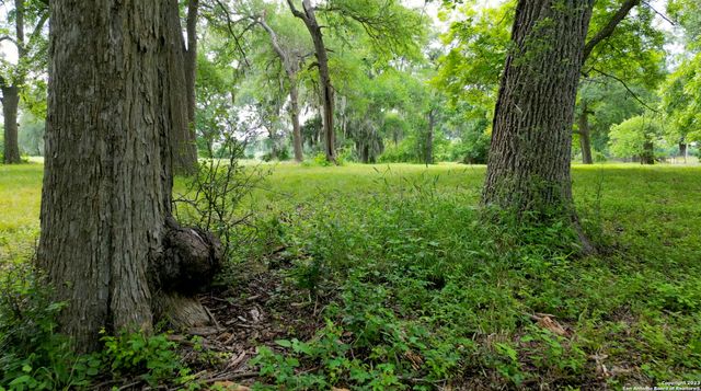 2550 York Creek Rd, New Braunfels, TX 78130