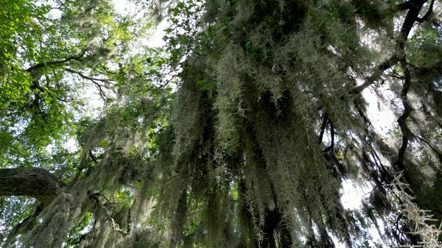 2550 York Creek Rd, New Braunfels, TX 78130