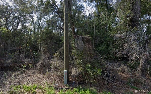 7873 S Choron Terrace, Floral City, FL 34436