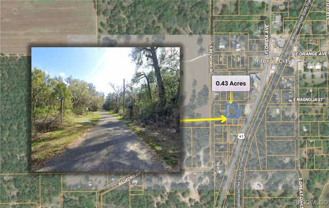 7873 S Choron Terrace, Floral City, FL 34436