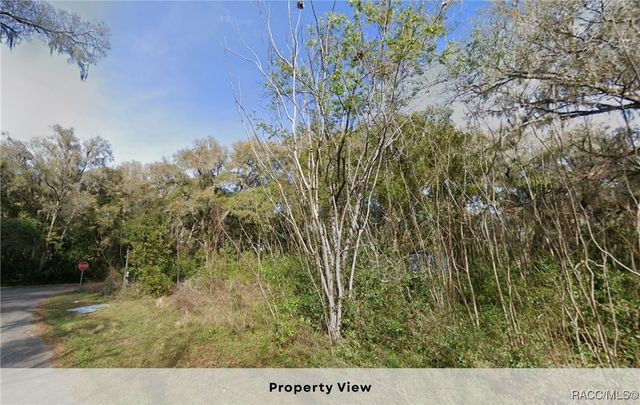 7873 S Choron Terrace, Floral City, FL 34436