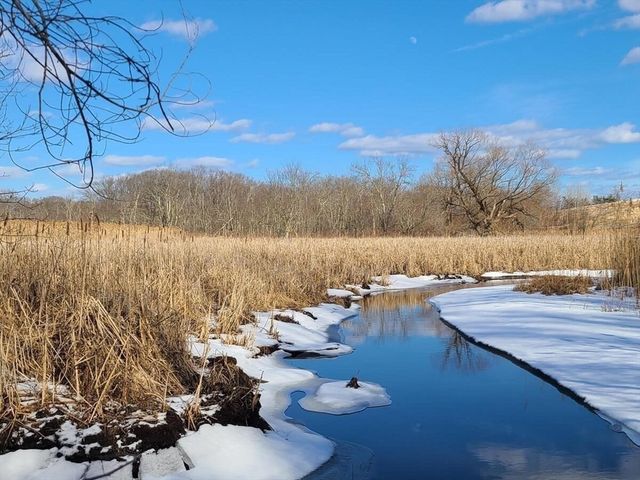 95 Landseer Street 1, Boston, MA 02132