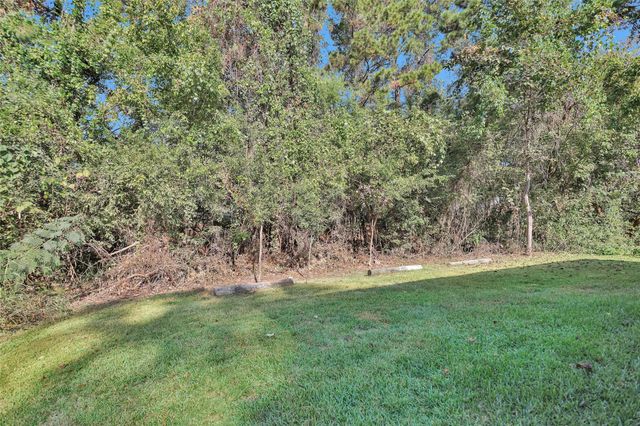12534 Andwood Street, Willis, TX 77318