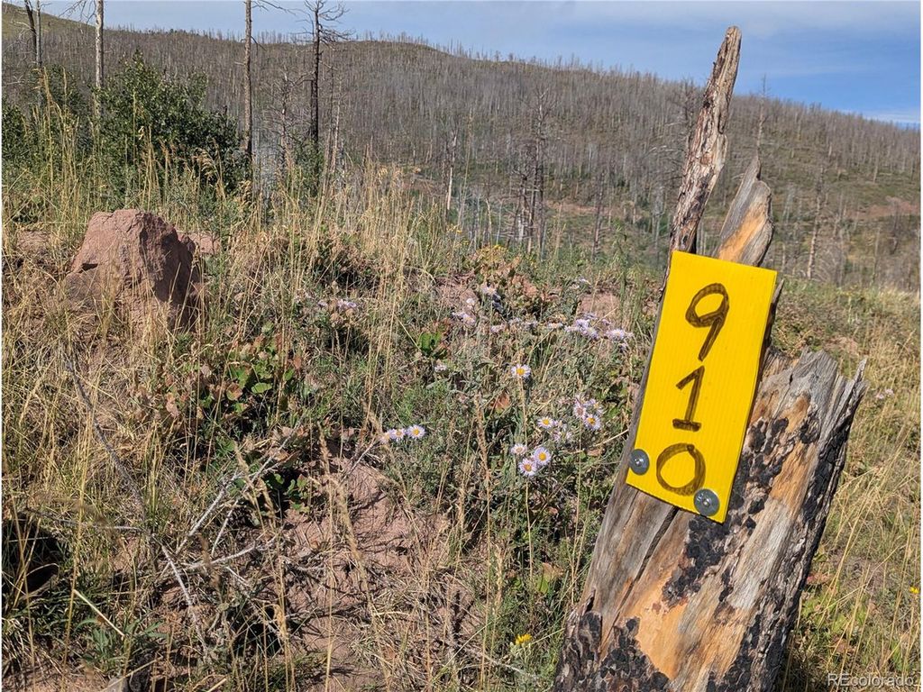 910 Ueda Pl, Fort Garland, CO 81133