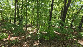 Tummell Drive, Bella Vista, AR 72715