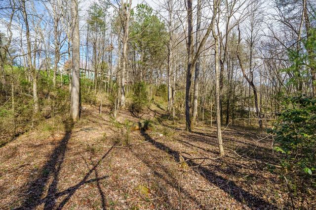 10085 Lakewood Hwy, Mineral Bluff, GA 30559