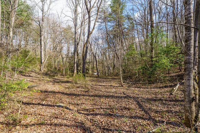 10085 Lakewood Hwy, Mineral Bluff, GA 30559