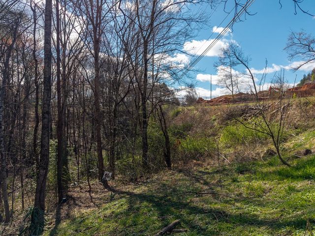 10085 Lakewood Hwy, Mineral Bluff, GA 30559