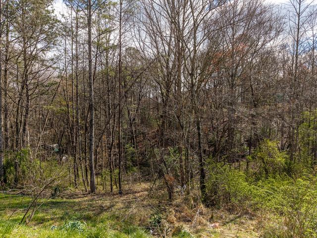 10085 Lakewood Hwy, Mineral Bluff, GA 30559
