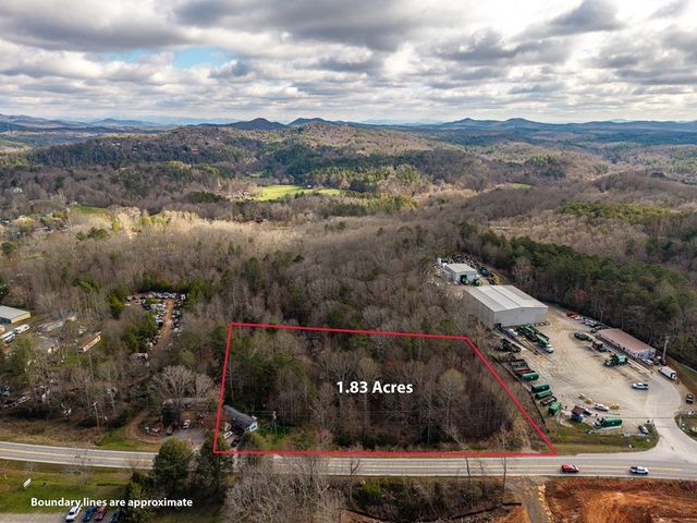 10085 Lakewood Hwy, Mineral Bluff, GA 30559