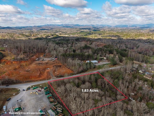 10085 Lakewood Hwy, Mineral Bluff, GA 30559