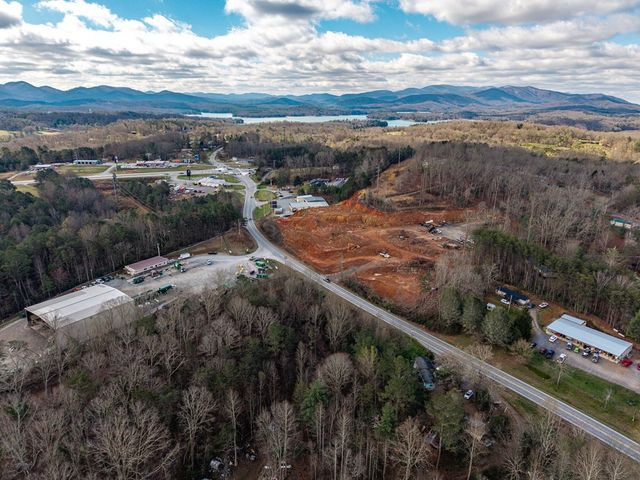10085 Lakewood Hwy, Mineral Bluff, GA 30559