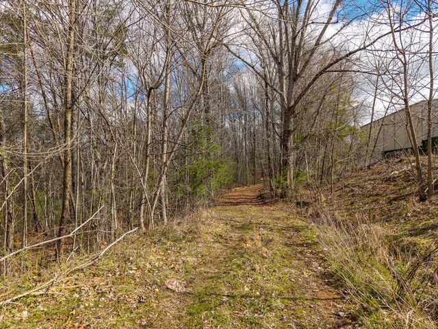 10085 Lakewood Hwy, Mineral Bluff, GA 30559