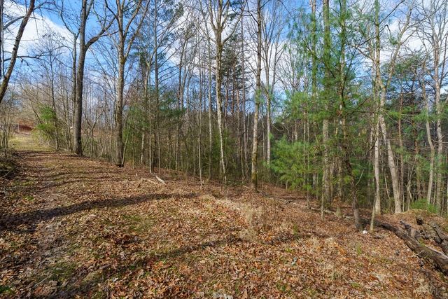 10085 Lakewood Hwy, Mineral Bluff, GA 30559