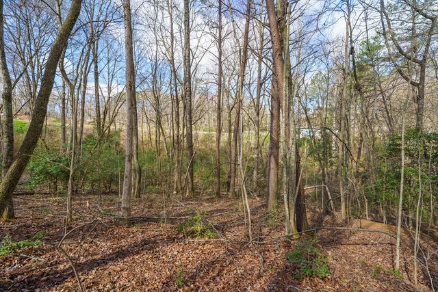 10085 Lakewood Hwy, Mineral Bluff, GA 30559