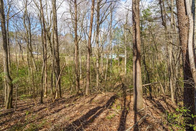 10085 Lakewood Hwy, Mineral Bluff, GA 30559