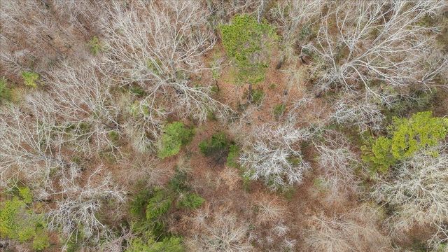 4105 County Road 231, Henderson, TX 75652