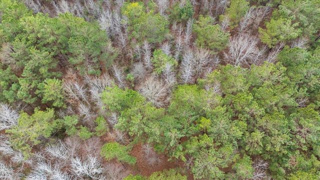 4105 County Road 231, Henderson, TX 75652