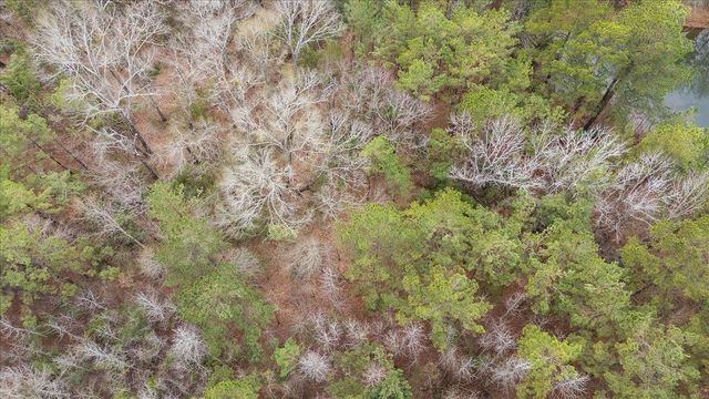 4105 County Road 231, Henderson, TX 75652