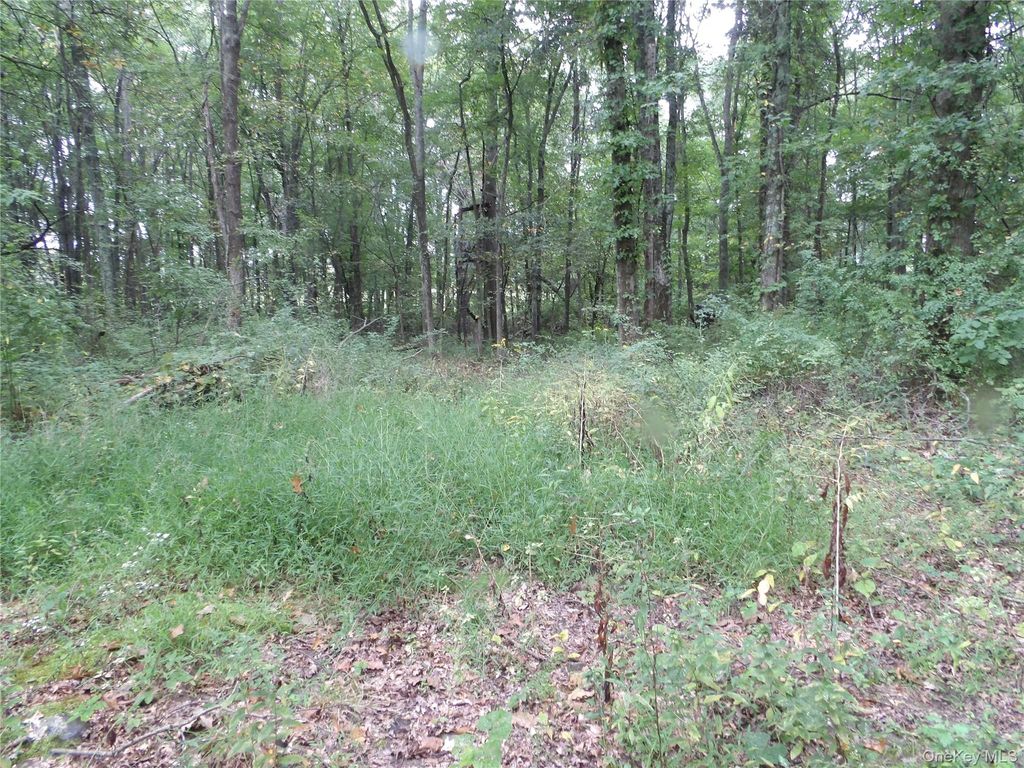 Bull Road, Rock Tavern, NY 12575 — photo 2