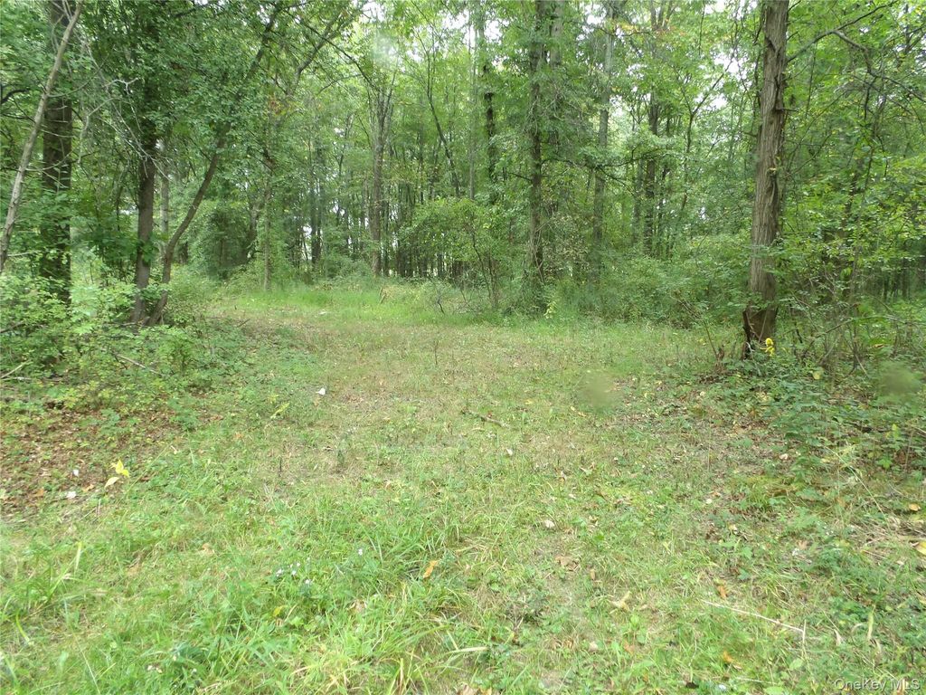 Bull Road, Rock Tavern, NY 12575 — photo 4