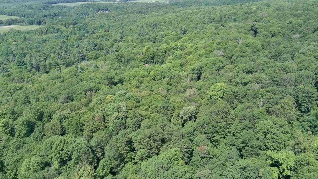 TBD Blackberry Lane, Bristol, VT 05443